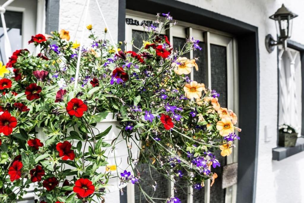 Schoenes Haus Mit Grossem Garten Seligenstadt Zewnętrze zdjęcie