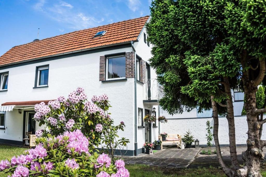 Schoenes Haus Mit Grossem Garten Seligenstadt Zewnętrze zdjęcie