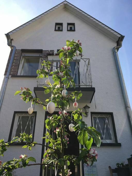 Schoenes Haus Mit Grossem Garten Seligenstadt Zewnętrze zdjęcie